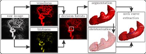 Image Analysis Framework For Aneurysm Detection Segmentation And Neck