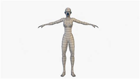 3d Model Female Mesh