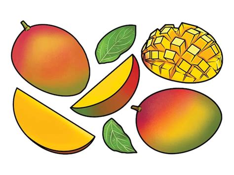 Premium Vector Vector Set Of Mango Fruits Whole Half And Cubic Slices