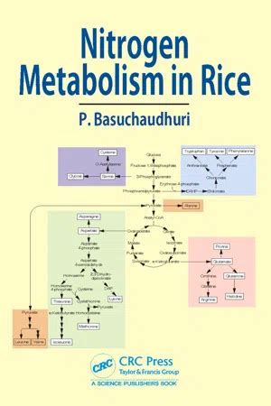 PDF Nitrogen Metabolism In Rice De Pranab Basuchaudhuri Libro