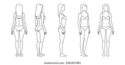 Back View Nude Woman Standing Royalty Free Images Stock Photos