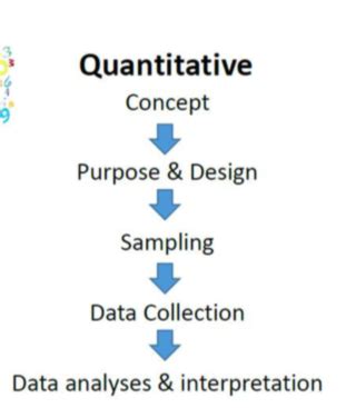 Qualitative Data Collection And Analysis Flashcards Quizlet