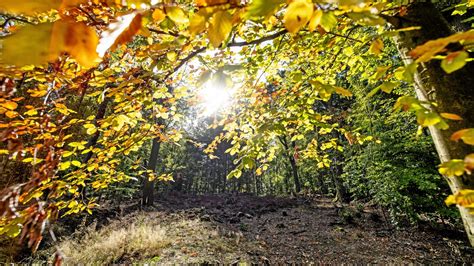 Oktober In Herne Der W Rmste Seit Beginn Der Aufzeichnung