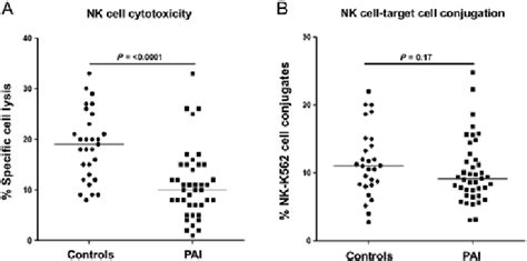 Natural Killer Cell Cytotoxicity And Conjugate Formation Panel A