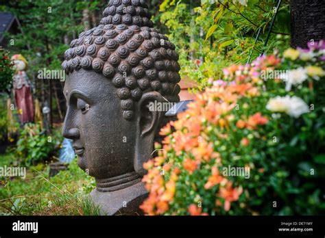 Buddha head in Canadian garden Stock Photo - Alamy