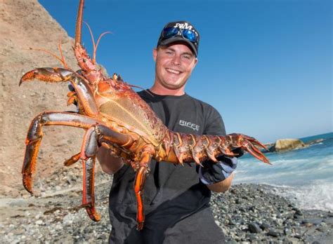 Largest Lobster In The World