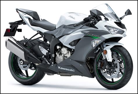 2021-Kawasaki-Ninja-ZX6R-Pearl-Crystal-White » BMSPEED7.COM