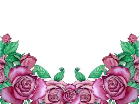 Premium Vector Watercolor Vector Rose Flowers Decoration