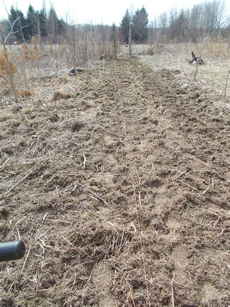 Eaton Rapids Joe: Mrs ERJ got her money's worth out of me today