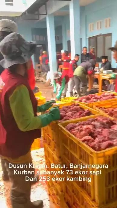 Separuh Warga Dusun Di Banjarnegara Berkurban Penampakan Daging Ton