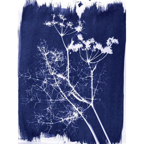 Jacquard Cyanotype Chemistry Set For Photographic Blueprints On Paper