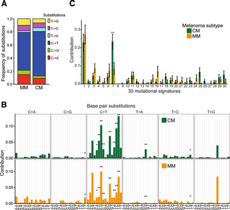 Mutational Spectrum Analysis For Mm And Cm Mm Presented A Distinct