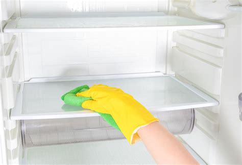 A Complete Guide To Deep Cleaning Your Fridge Artofit