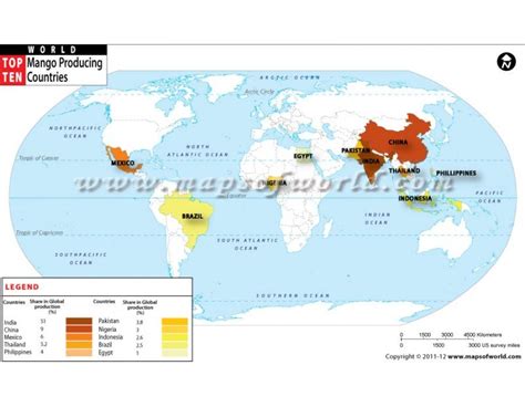 Top 10 Countries That Grow Mango CheyannekruwLynch