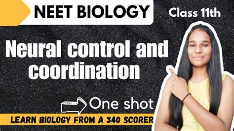 Neural Control And Co Ordination One Shot NCERT NEET Biology