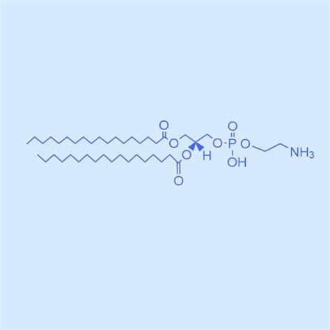 二硬脂酰基磷脂酰乙醇胺 Chemicalbook