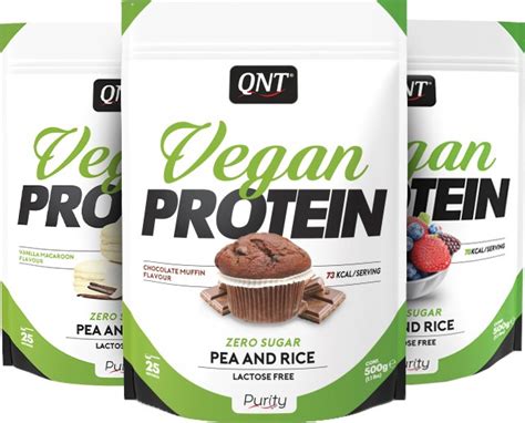 QNT Vegan Protein 500gr Prometeus