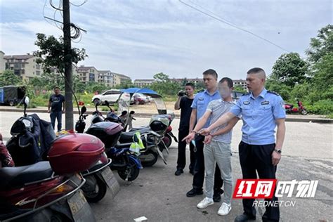 桃江警方侦破系列跨市盗窃摩托车电瓶案益阳新闻益阳站红网