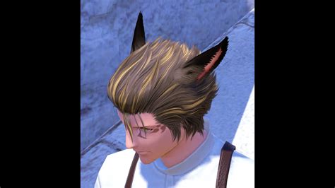 Miqo Hair Dark Ears Xiv Mod Archive