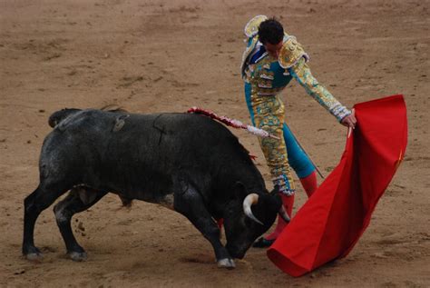 La lechuza: Bull-fight (La lidia del toro), según Hemingway