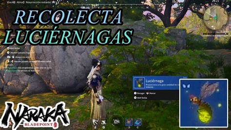 Naraka Bladepoint Recolecta Luciernagas YouTube