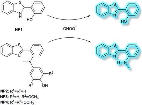 Fluorescent Small Organic Probes For Biosensing Chemical Science Rsc