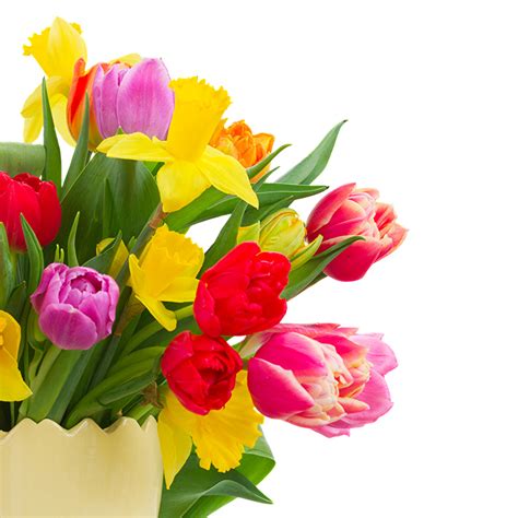 Daffodils And Tulips Bouquet