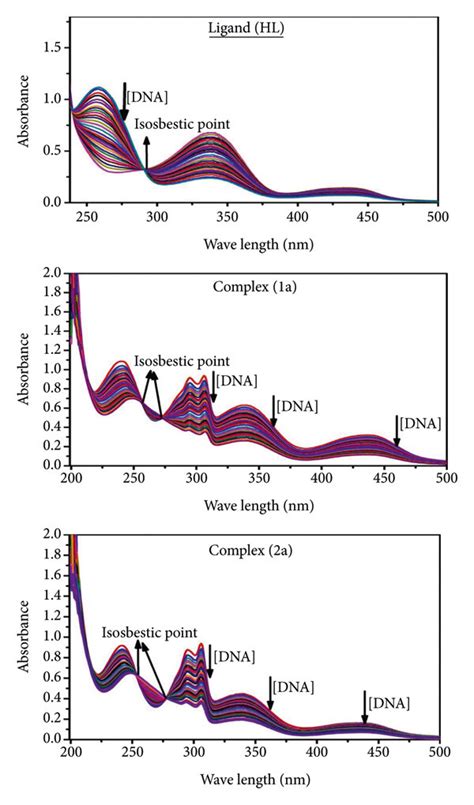 Increasing Concentrations Of Ct Dna Were Present While The Ligand Hl Download Scientific