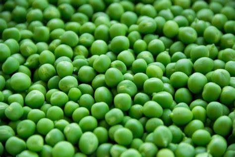 The Health Benefits Of Pea Protein Diabetes Daily