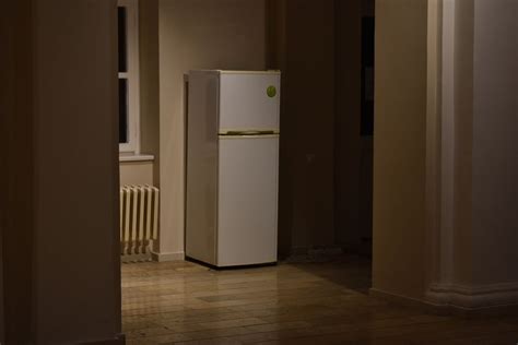 Nueve Errores Al Usar El Refrigerador Y Que Afectan Tu Comida La Tercera