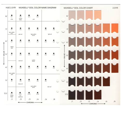 munsell color chart app - Selma Oconnell