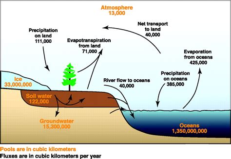 Groundwater