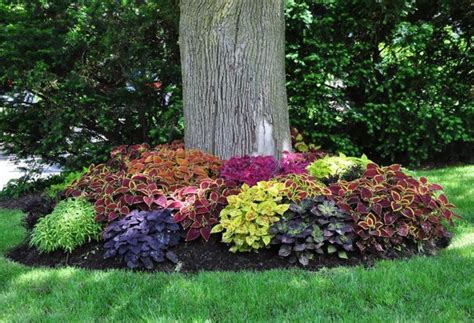 50 Best Landscaping Design Ideas For Backyards And Front Yards