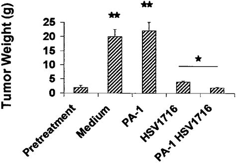 In Vivo Effect Of HSV 1716 On A2780 Tumor Growth SCID Mice Received