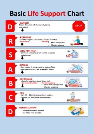 Basic Life Support Chart Poster Pdf