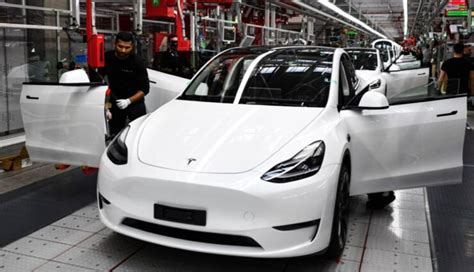 Tesla Model Y Auf Platz 2 Deutscher Neuzulassungen Teslamag De