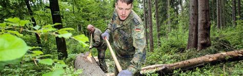 bundeswehr journal Borkenkäfer Soldaten helfen in Sachsen und