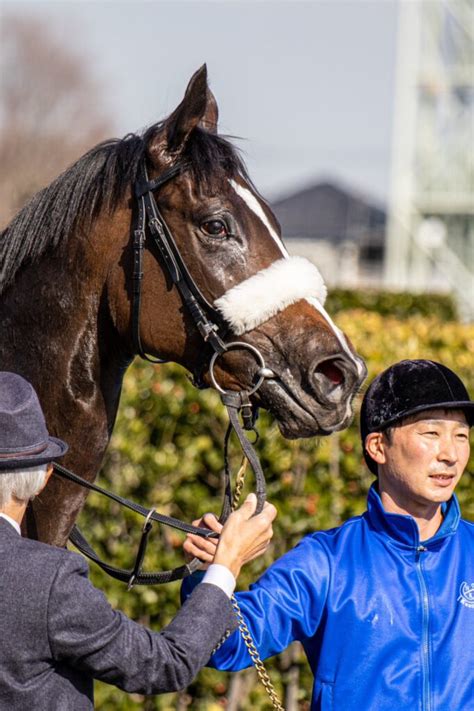 新馬戦回顧 メイクデビューの勝者達 2022年12月28日水 ウマフリ 競馬コラム＆ニュース