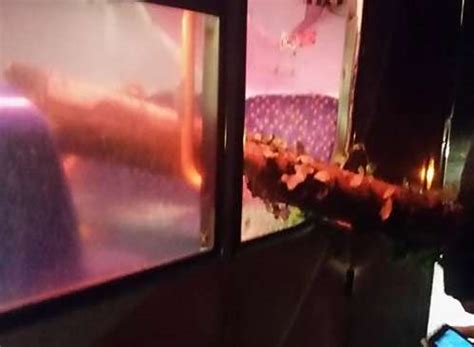 Stagecoach Bus Terror As Tree Smashes Through Window In Canterbury