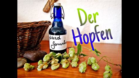 Der Hopfen Bierzutat Heilkraut Delikatesse YouTube