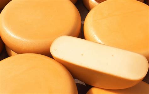 Dutch Cheeses 18 Cheese Types In Netherlands Tasteatlas