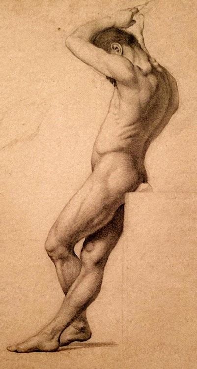 Russian Academic Male Nude Drawing 19th Century Tumbex