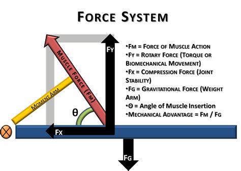 Force Diagram For Torque