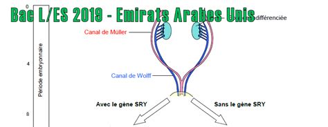 Svt Acad Mie De Besan On Page