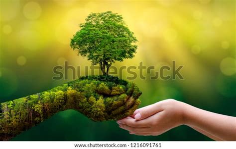 61 426 Female Nature Conservation Images Stock Photos Vectors