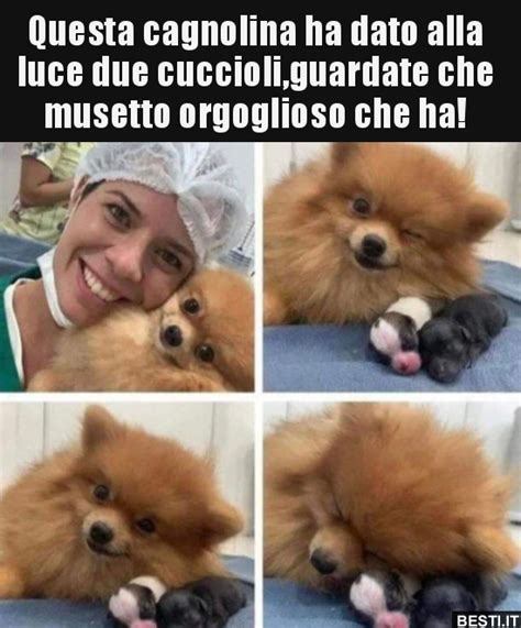 Questa Cagnolina Ha Dato Alla Luce Due Cuccioli Guardate BESTI It