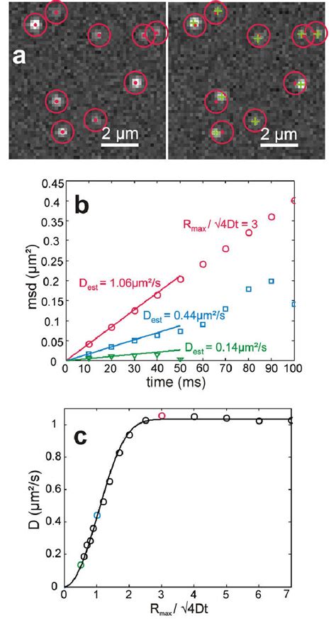 Single Molecule Tracking A The Two Images Show Simulations Of Single