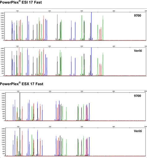 Powerplex 1 Esi 17 Fast And Esx 17 Fast Amplification On The Geneamp 1 Download Scientific