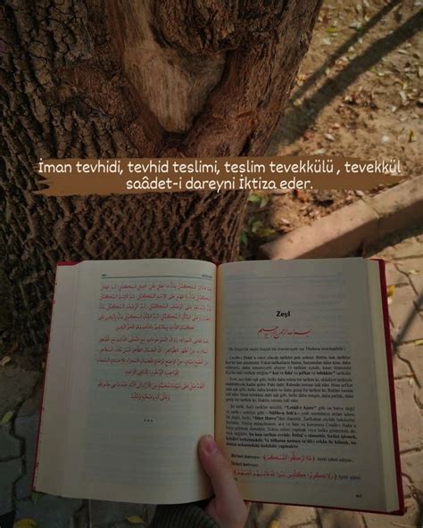 An Open Book Sitting In Front Of A Tree