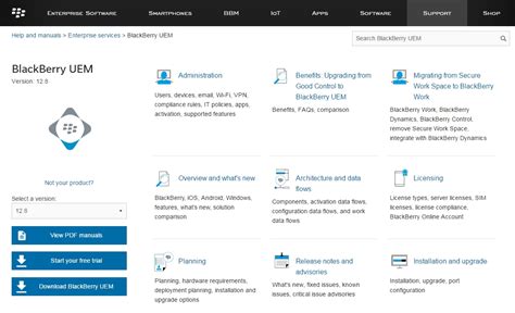 Implement Blackberry Unified Endpoint Manager Uem Part